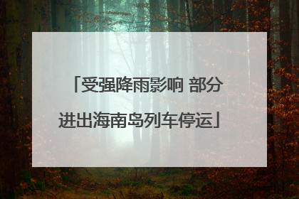 受强降雨影响 部分进出海南岛列车停运